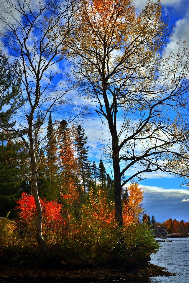 Canada 