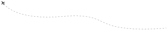 Supporting Line