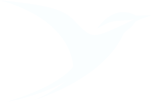 tripnest.net Corporate page Contact Banner