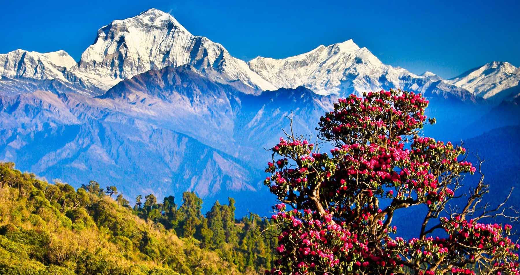 LuxEscape In Nepal