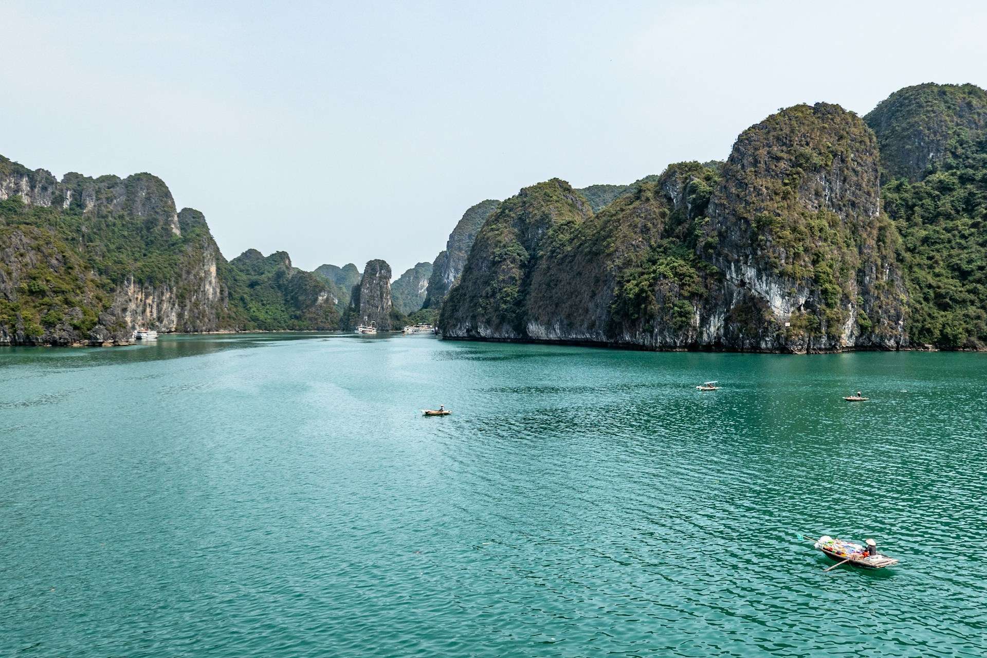 NestQuest: Enchanting Vietnam