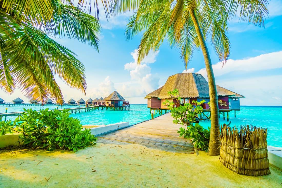 COCO BODU HITHI