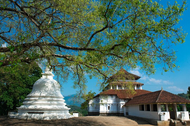 NestQuest Adventure In Sri Lanka